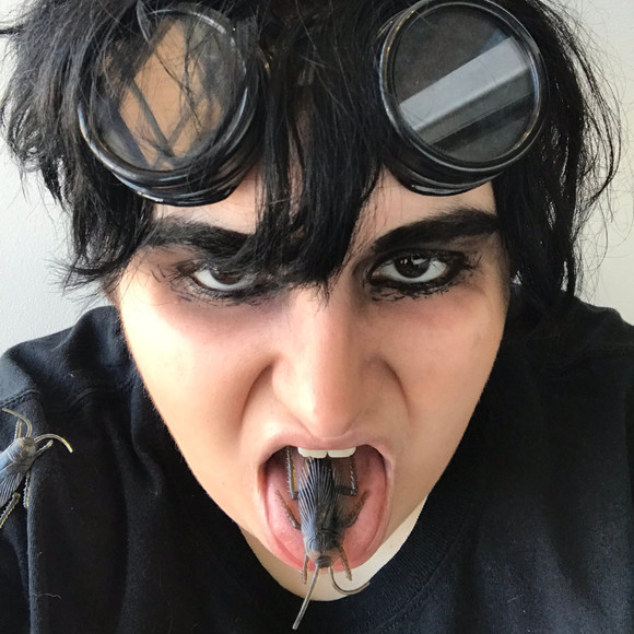 ddyjayc